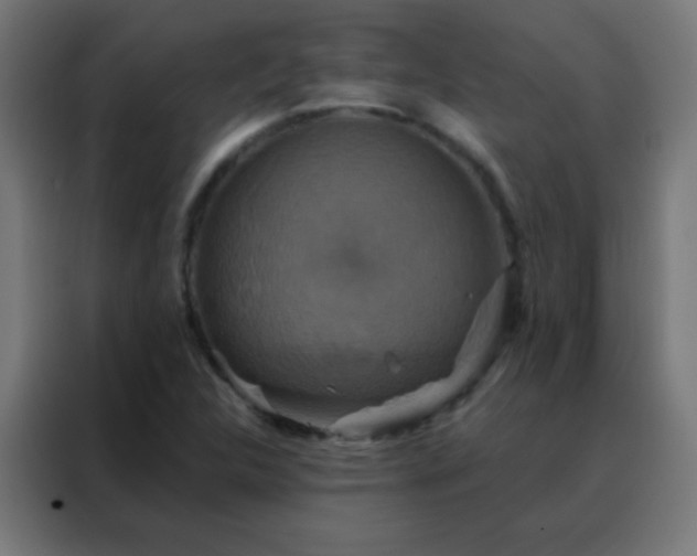 X0000088201312200705221715