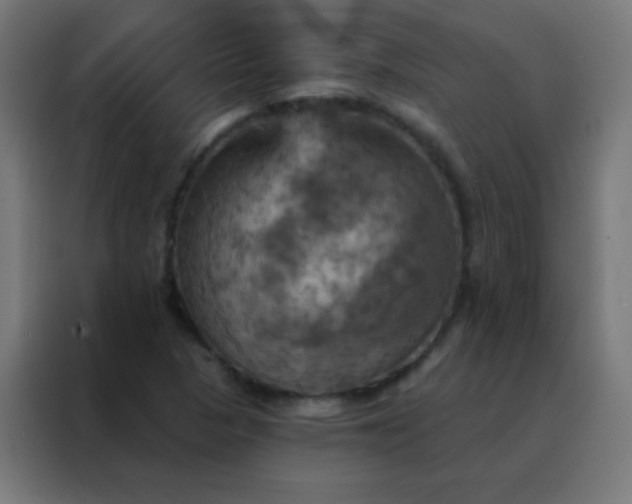 X0000088201313200705221715
