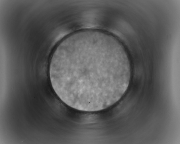X0000088201314200705221715
