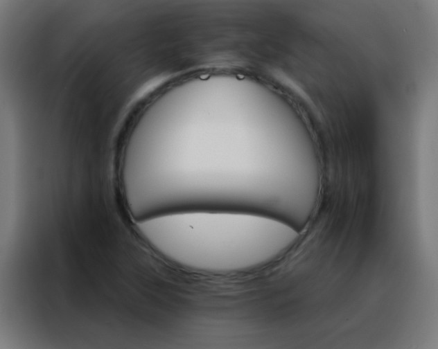 X0000088201315200705221715