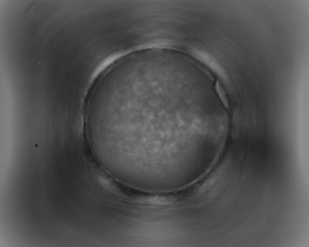 X0000088201316200705221715