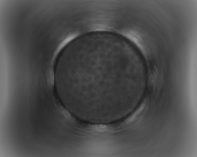 X0000088201317200705221715