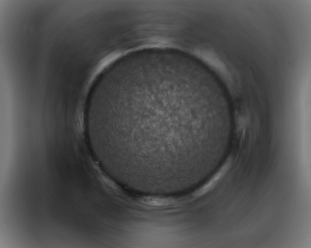 X0000088201318200705221715