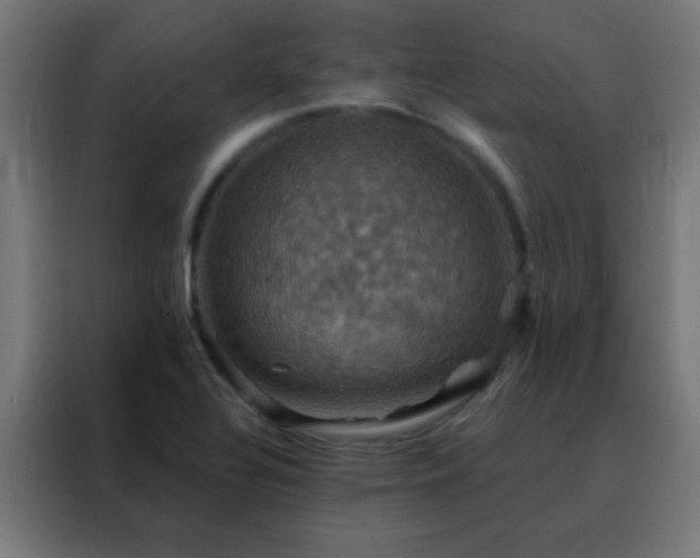 X0000088201320200705221715