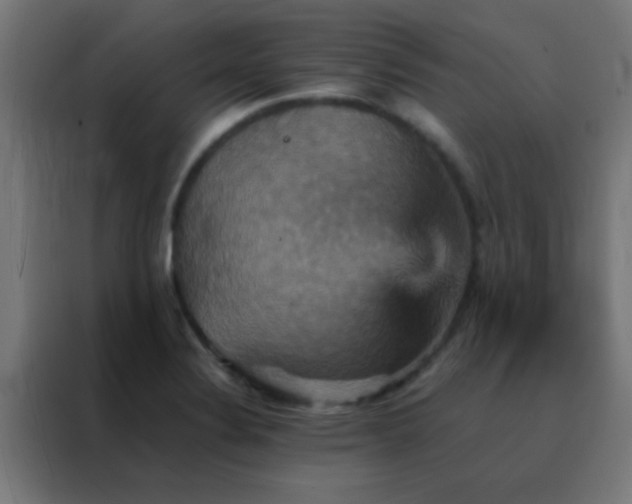 X0000088201324200705221715