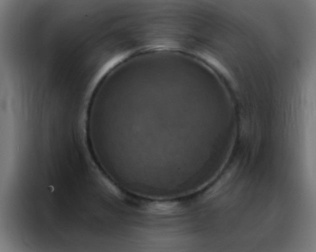 X0000088201325200705221715