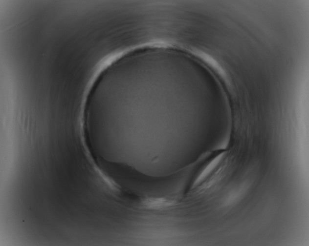 X0000088201327200705221715