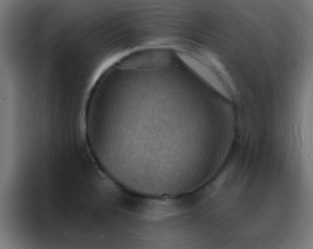X0000088201328200705221715