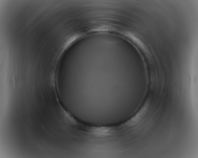 X0000088201329200705221715