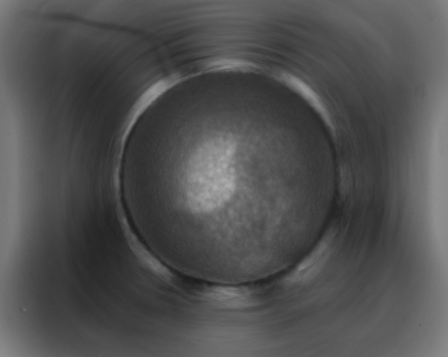 X0000088201330200705221715