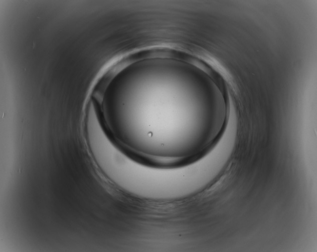 X0000088201332200705221715