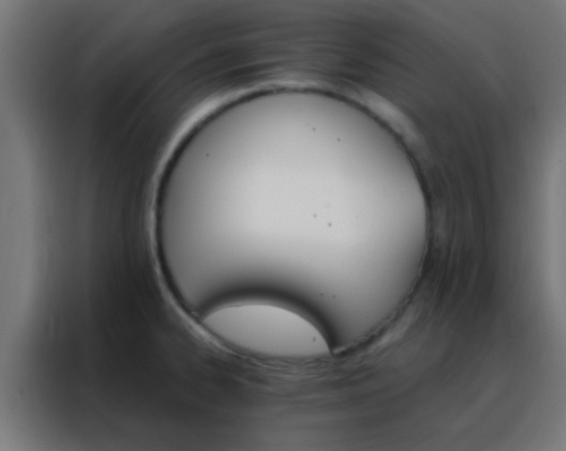 X0000088201334200705221715