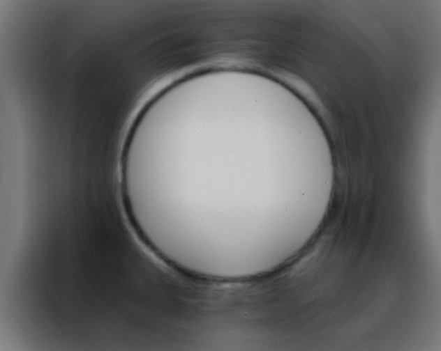 X0000088201335200705221715