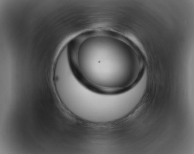 X0000088201336200705221715