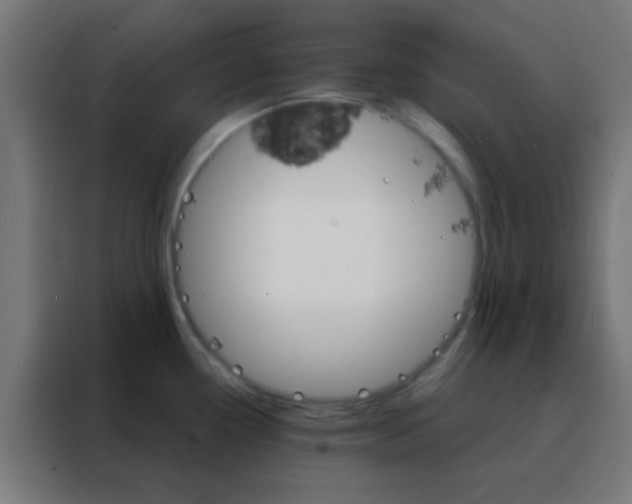 X0000088201338200705221715
