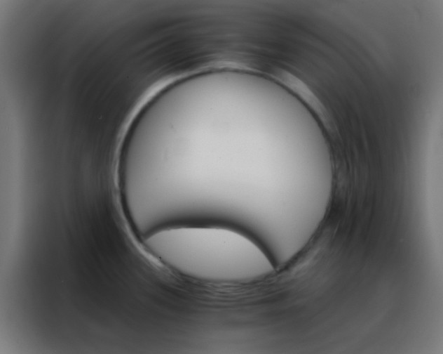 X0000088201339200705221715