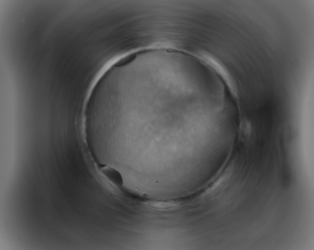X0000088201340200705221715
