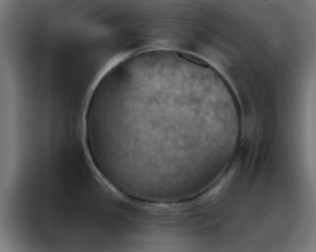 X0000088201341200705221715
