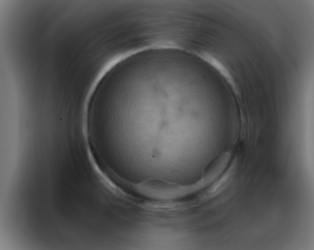 X0000088201342200705221715