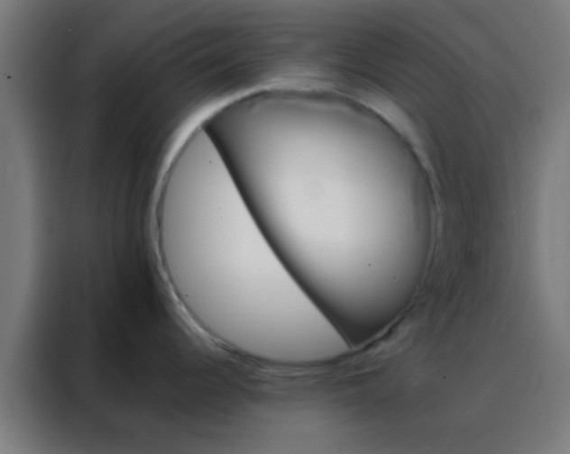 X0000088201344200705221715