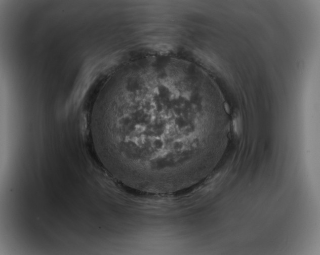 X0000088201347200705221714