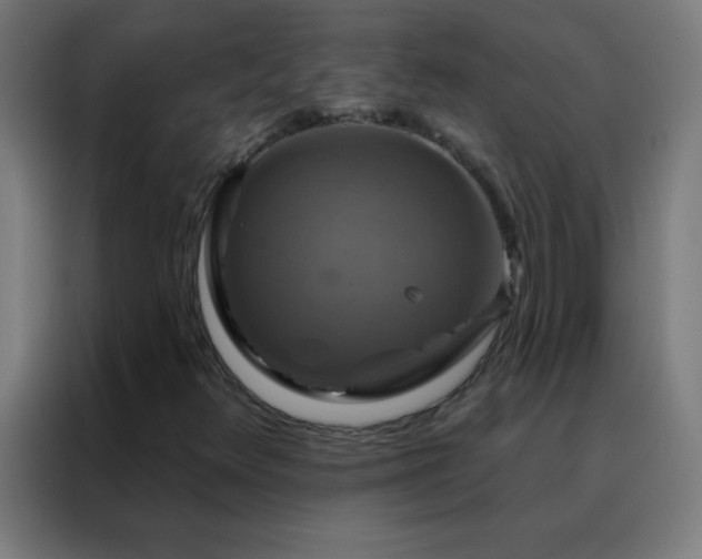 X0000088201348200705221714