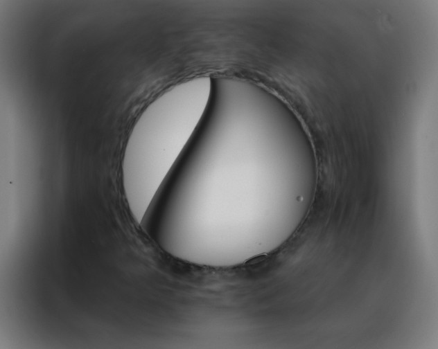 X0000088201349200705221714