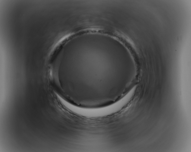 X0000088201352200705221714