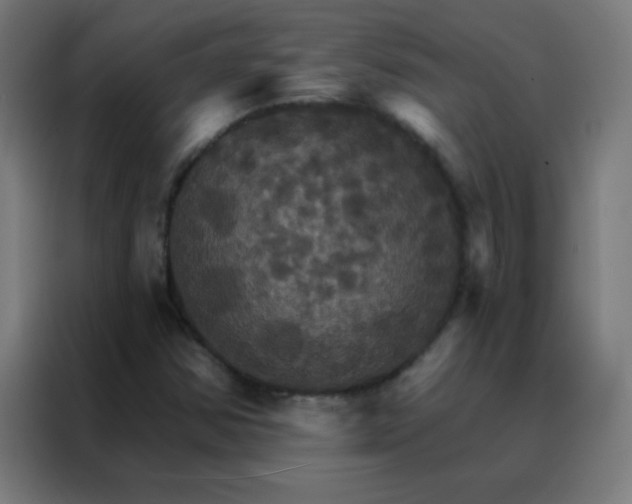 X0000088201354200705221714