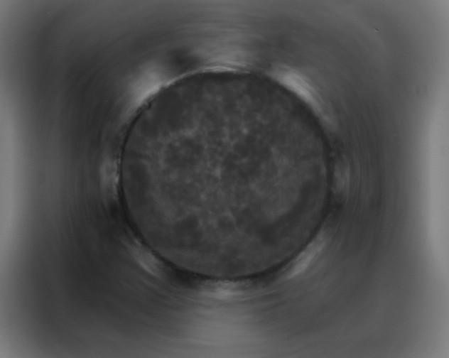 X0000088201355200705221714