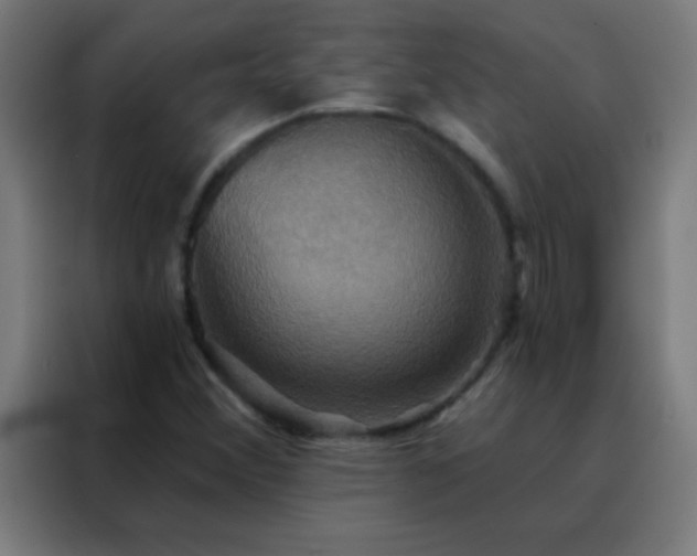 X0000088201356200705221714
