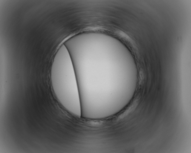X0000088201361200705221714