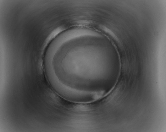 X0000088201362200705221714
