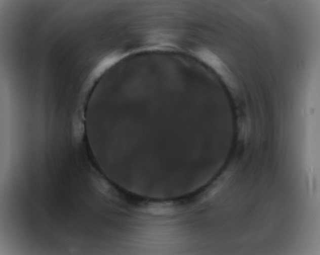 X0000088201363200705221714