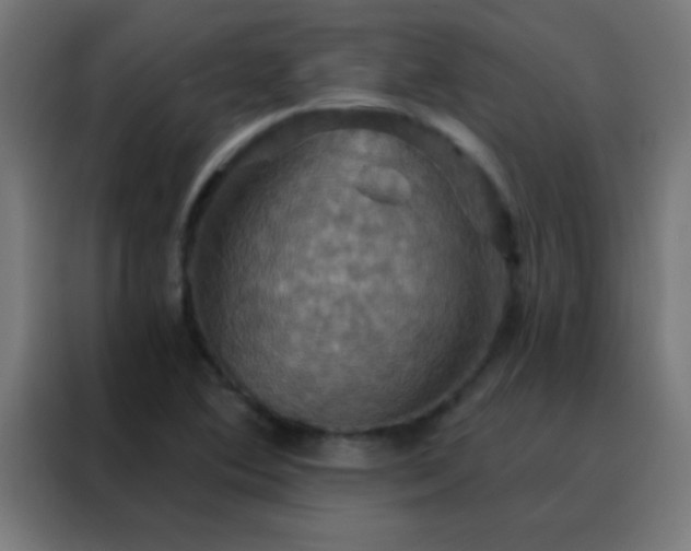 X0000088201364200705221714