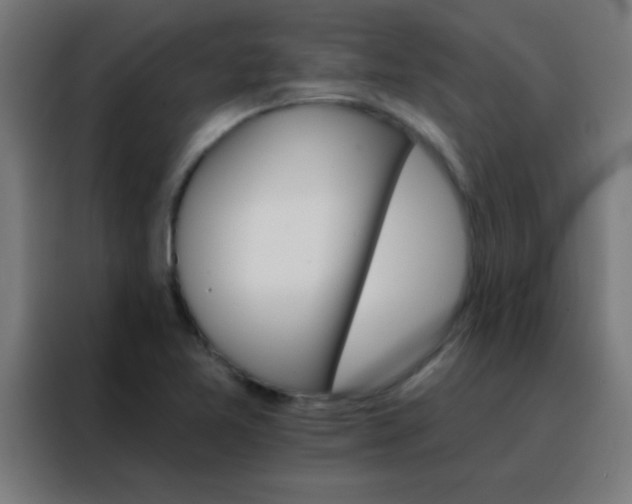 X0000088201365200705221714