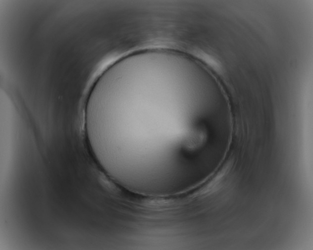 X0000088201366200705221714