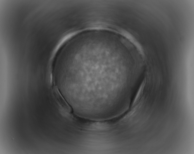 X0000088201368200705221714