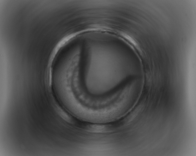 X0000088201371200705221714