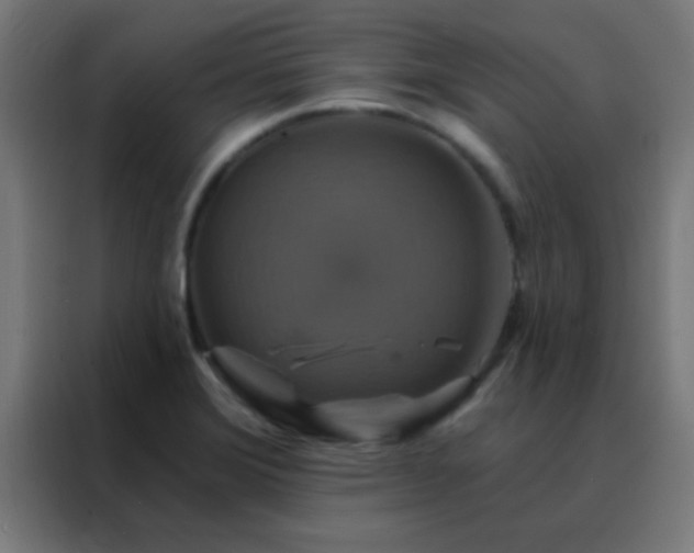 X0000088201372200705221714