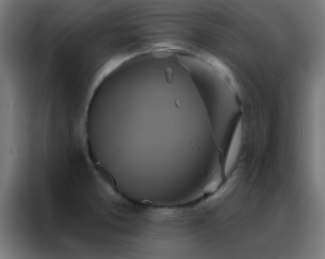 X0000088201373200705221714
