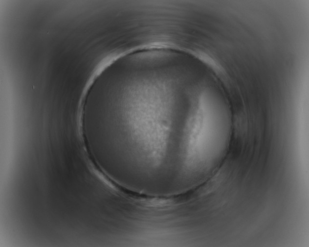X0000088201374200705221714