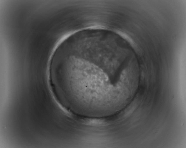 X0000088201375200705221714