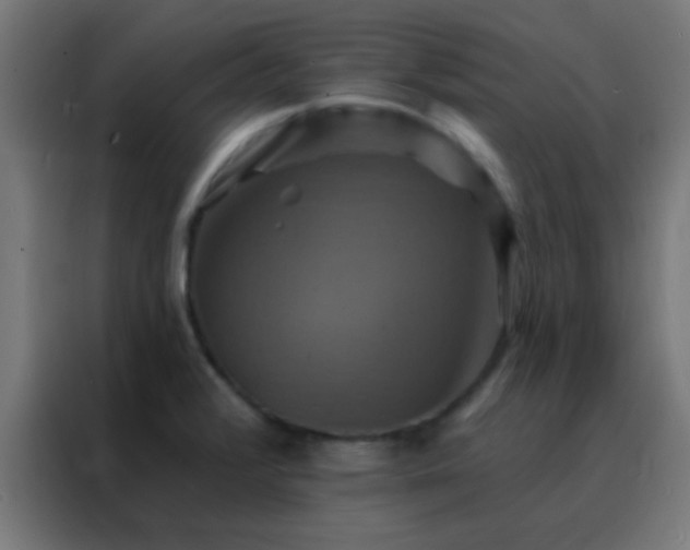 X0000088201376200705221714