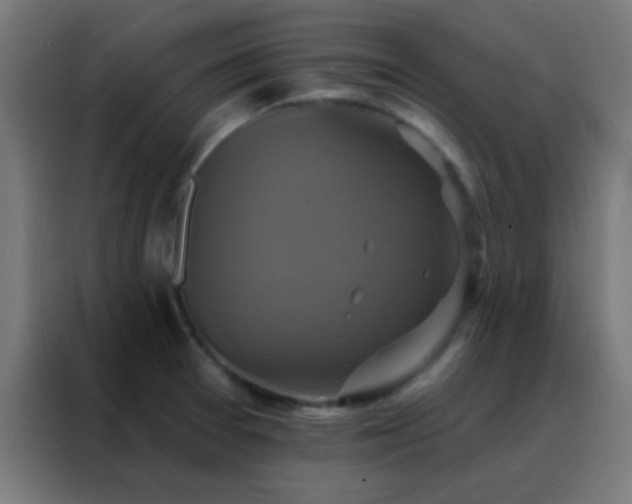 X0000088201377200705221714