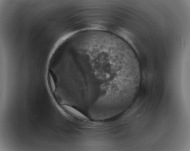 X0000088201379200705221714