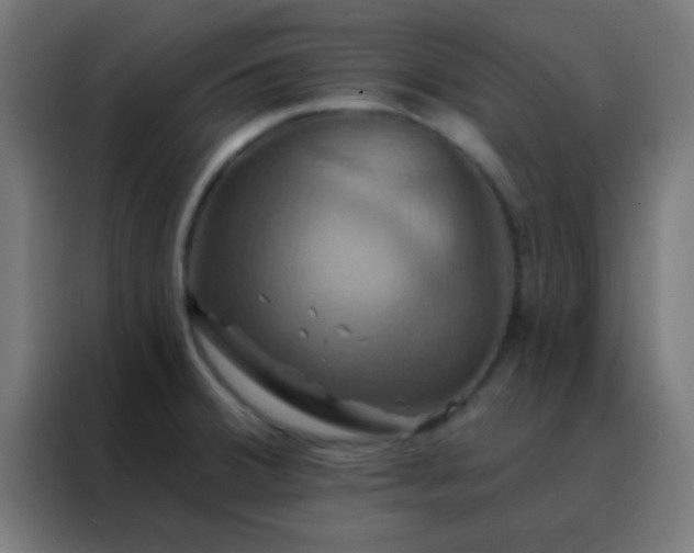 X0000088201380200705221714