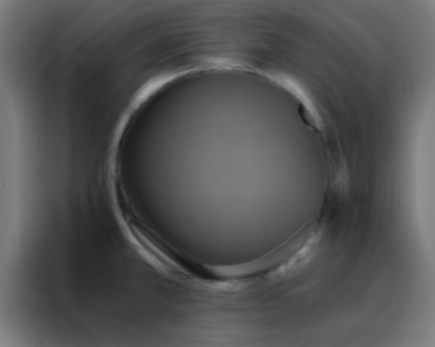 X0000088201381200705221714