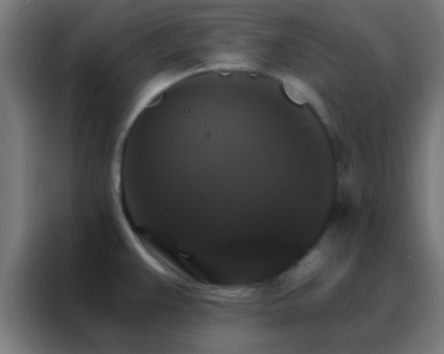 X0000088201383200705221714