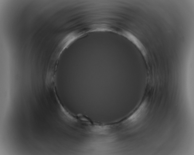 X0000088201385200705221714